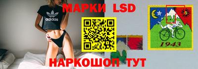 стафф Пенза