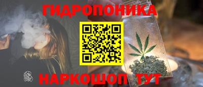 стафф Пенза