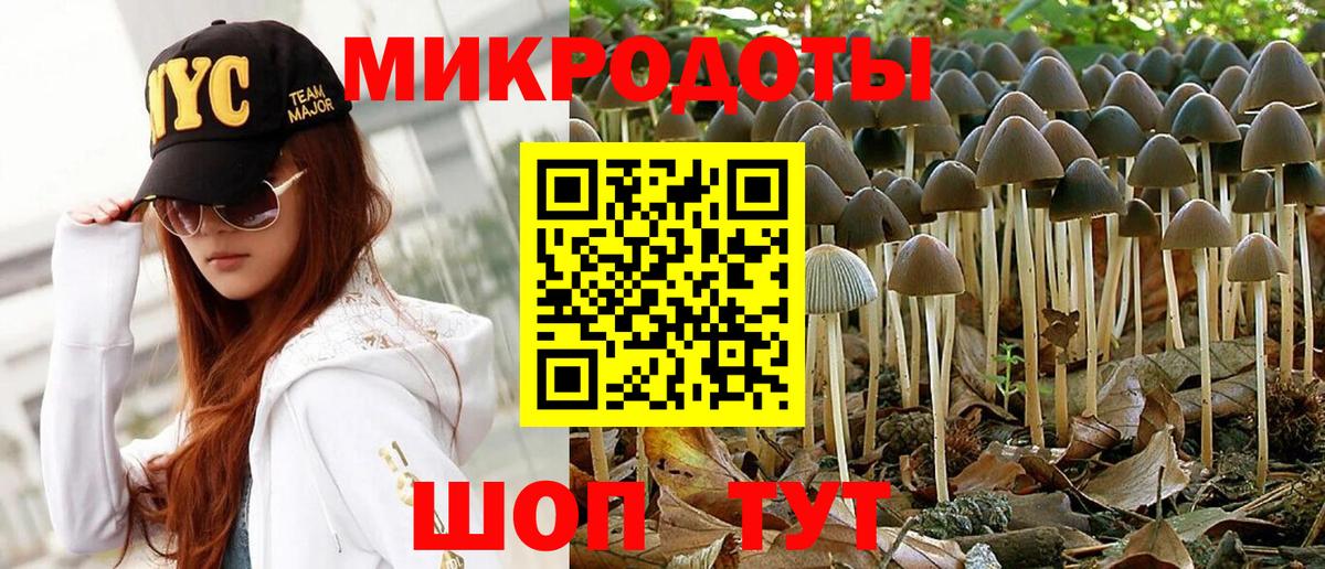 Псилоцибиновые грибы MAGIC MUSHROOMS  Вход с VPN  Санкт-Петербург 